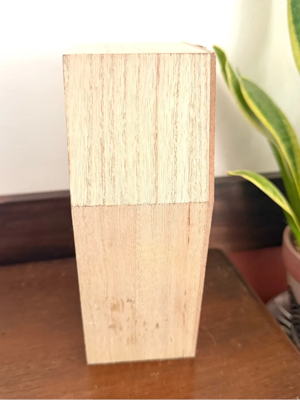 Wood Coffin Mini Display Shelf Wall Hanging Free Standing Small Organizer Shelf